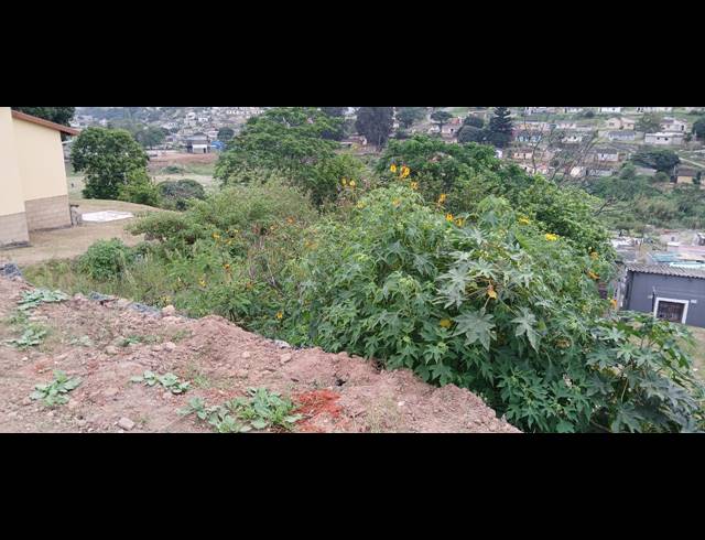570M² VACANT LAND FOR SALE IN UMLAZI AA